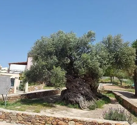 Margarita's Farm, Private Pool
